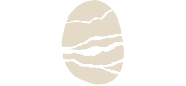 Logo of SIlk & Saffron inspired by geological strata, symbolizing the passage of time and enduring power of creativity and craft traditions