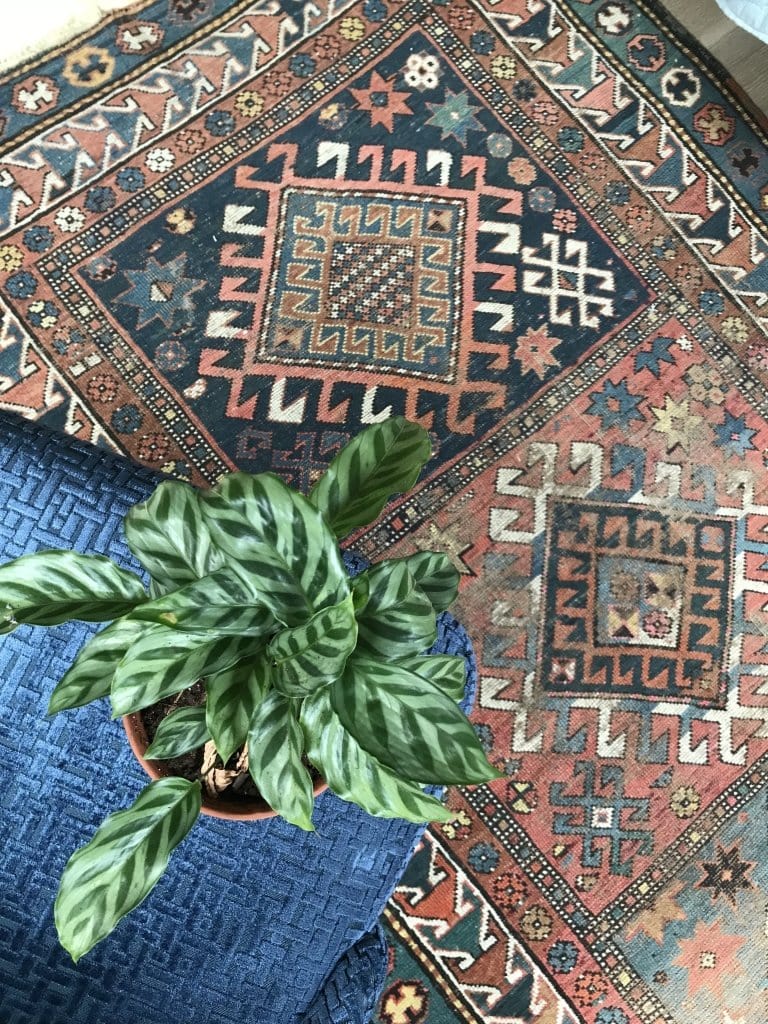 No. 0172 Beautiful Caucasian Kazak faded green blue and red Tribal Design Rug - Saffron Bloom